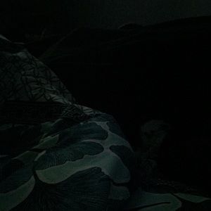 Meet your Posher, Veronica